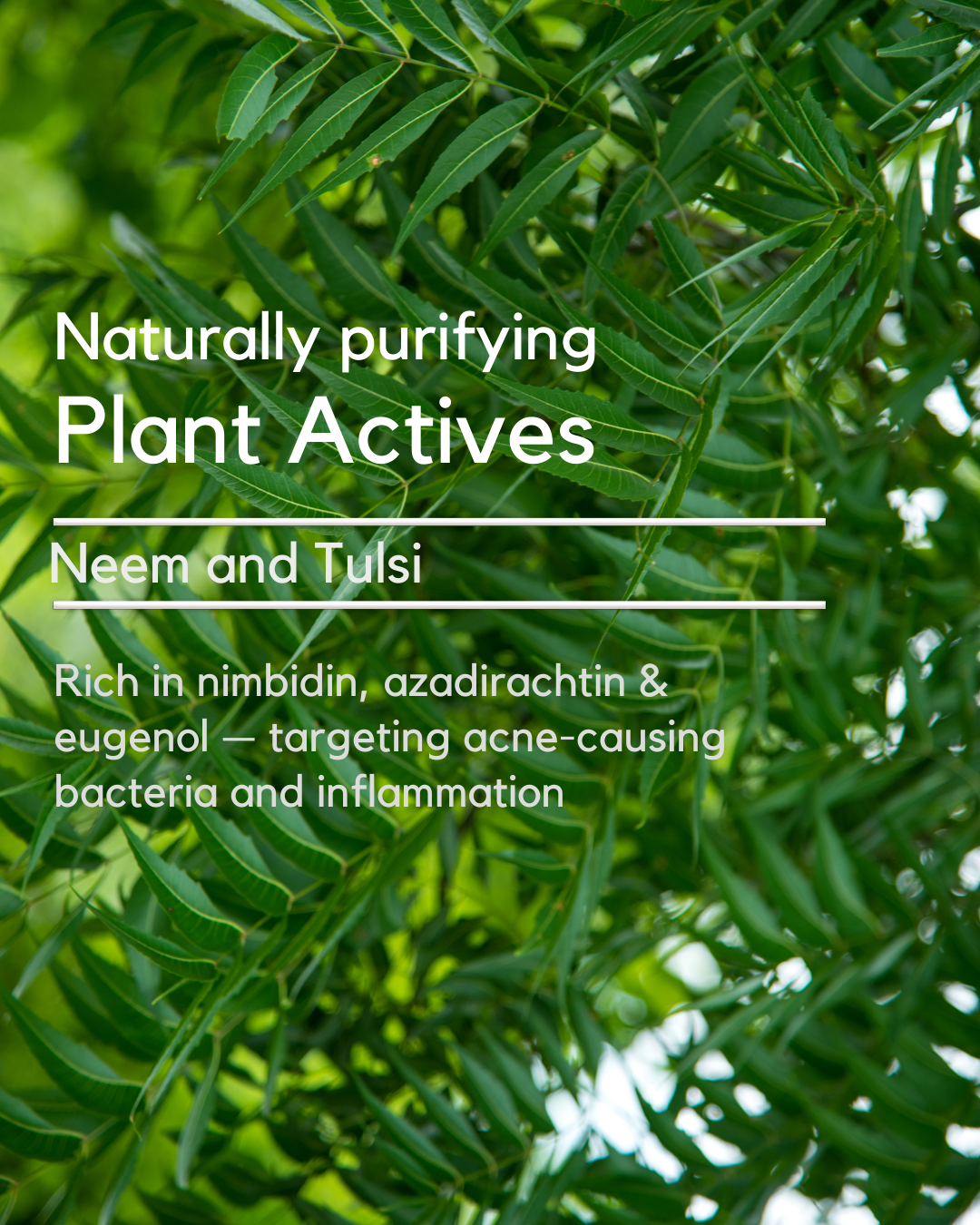Neem Shuddhi Face Cleanser